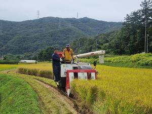 ���ֽ�, ������ �Ӵ�� ��50% ���顯 ���� ������ ����