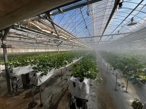 ���ֽ�, ������ ���� ������� ��������ǰ ��깰 ���� ����ȭ