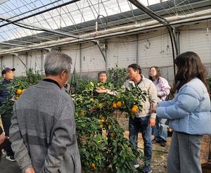 ���ֽ�, ���� ��� �� ��� �ܿ����� ���� �ڹ� �ǽ�