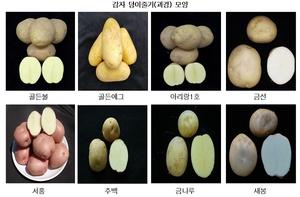 ���ֽ�, ���� ���� 8�� ǰ�� ���� ���� ��� ����