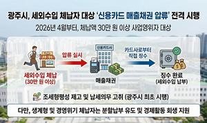 ���ֽ�, ���ܼ��� ü���� �ſ�ī�� ����ä�� �з� ����