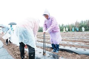 ������ ������ȸ, �̿����� ���� �ɱ� ����